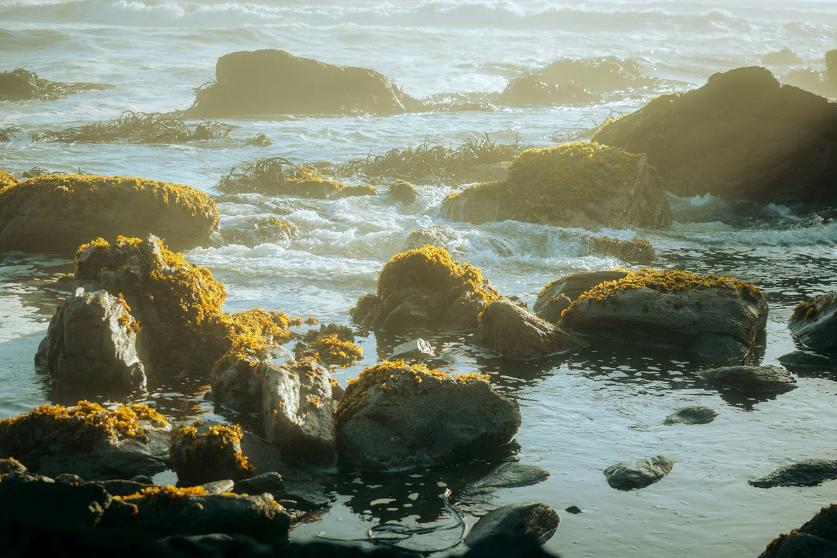 Waves moving through moss-covered coastal rocks in Chile